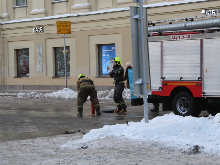 В Петербурге пожарные потушили огонь в квартире на Новосибирской улице