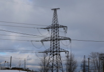 В Ярославской области с 24 декабря продолжаются перебои с электроэнергией — только 2 января работники энергосетей восстанавливают подключение последних остававшихся без света поселений