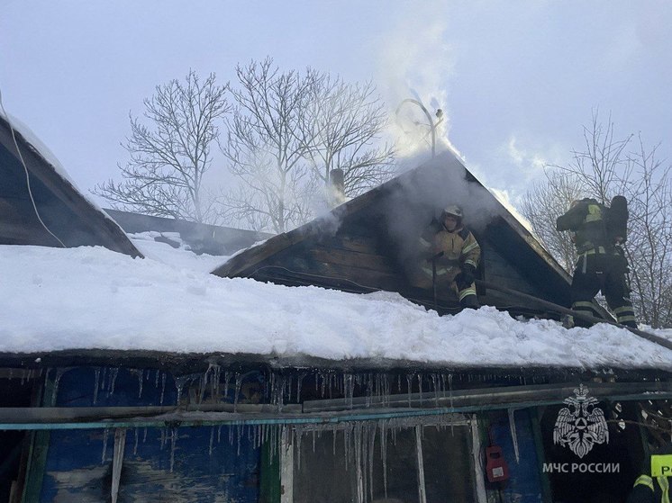 В МЧС Новгородской области напомнили правила пожарной безопасности в морозы