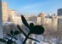 Третий день Нового Года в Хабаровске обойдется без погодных эксцессов