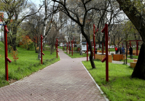 В прошлом году благоустроенные парки и скверы Владивостока, по данным краевого правительства, посетили более семи миллионов человек