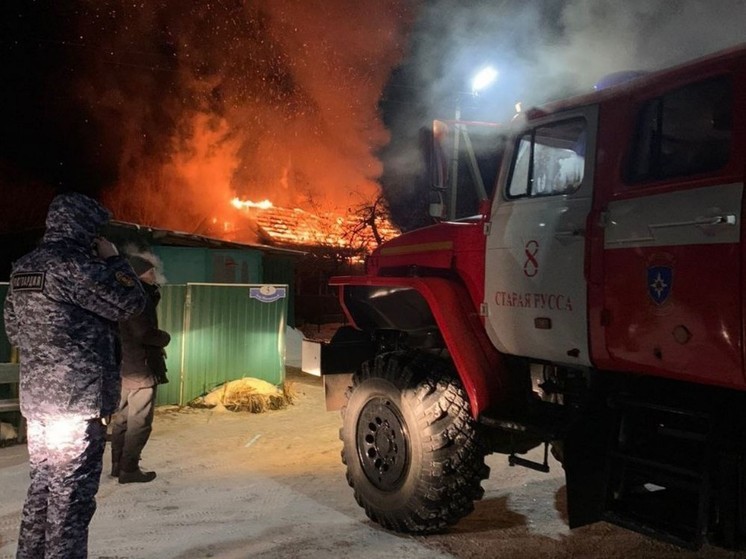 За сутки в Новгородской области произошло 12 пожаров