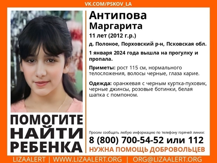 11-летняя девочка пропала в Порховском районе