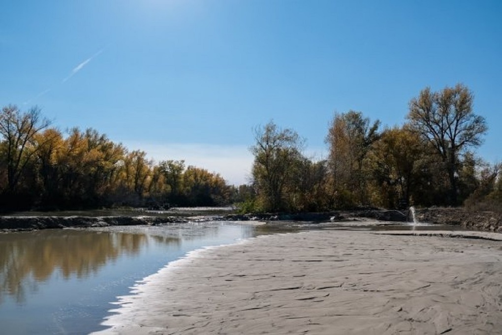 В Волгоградской области завершится расчистка 16 водоемов в 2024 году