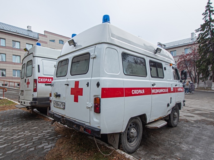 В Новосибирске начислят спецдоплаты для бригад скорой помощи с 1 января