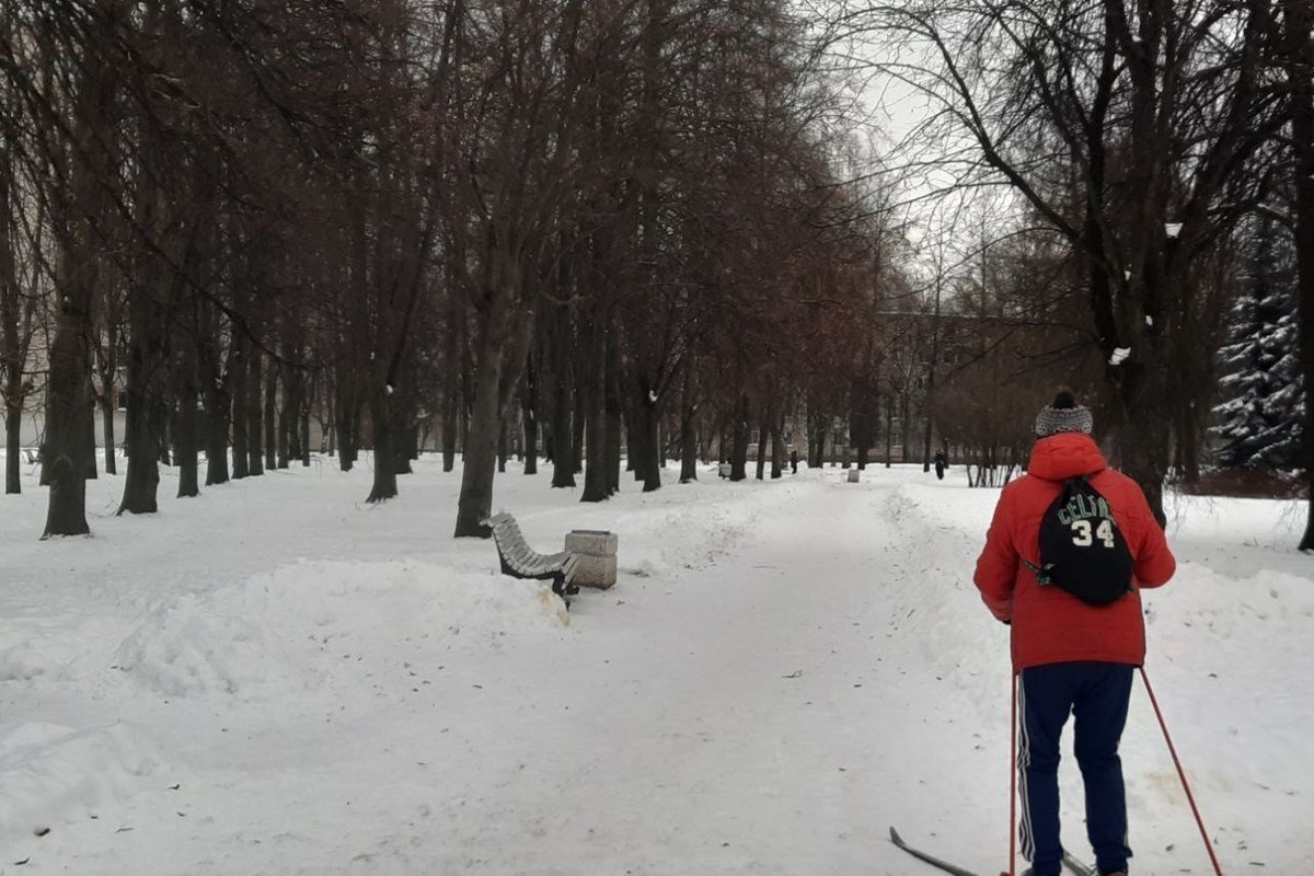 В Кировске проведут первенство по лыжным гонкам «Приз зимних каникул» 14 января