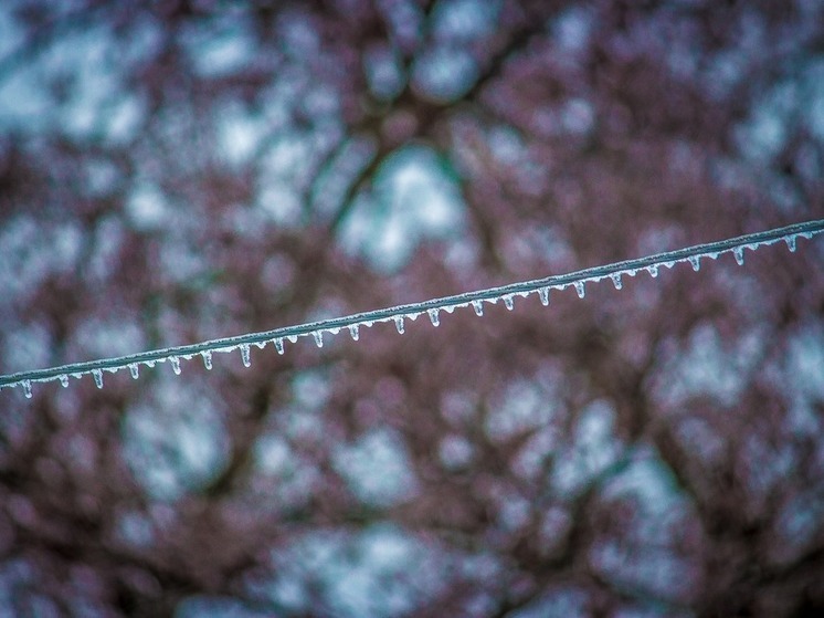 Десятки населенных пунктов в Ярославской области из-за аварии остались без электричества