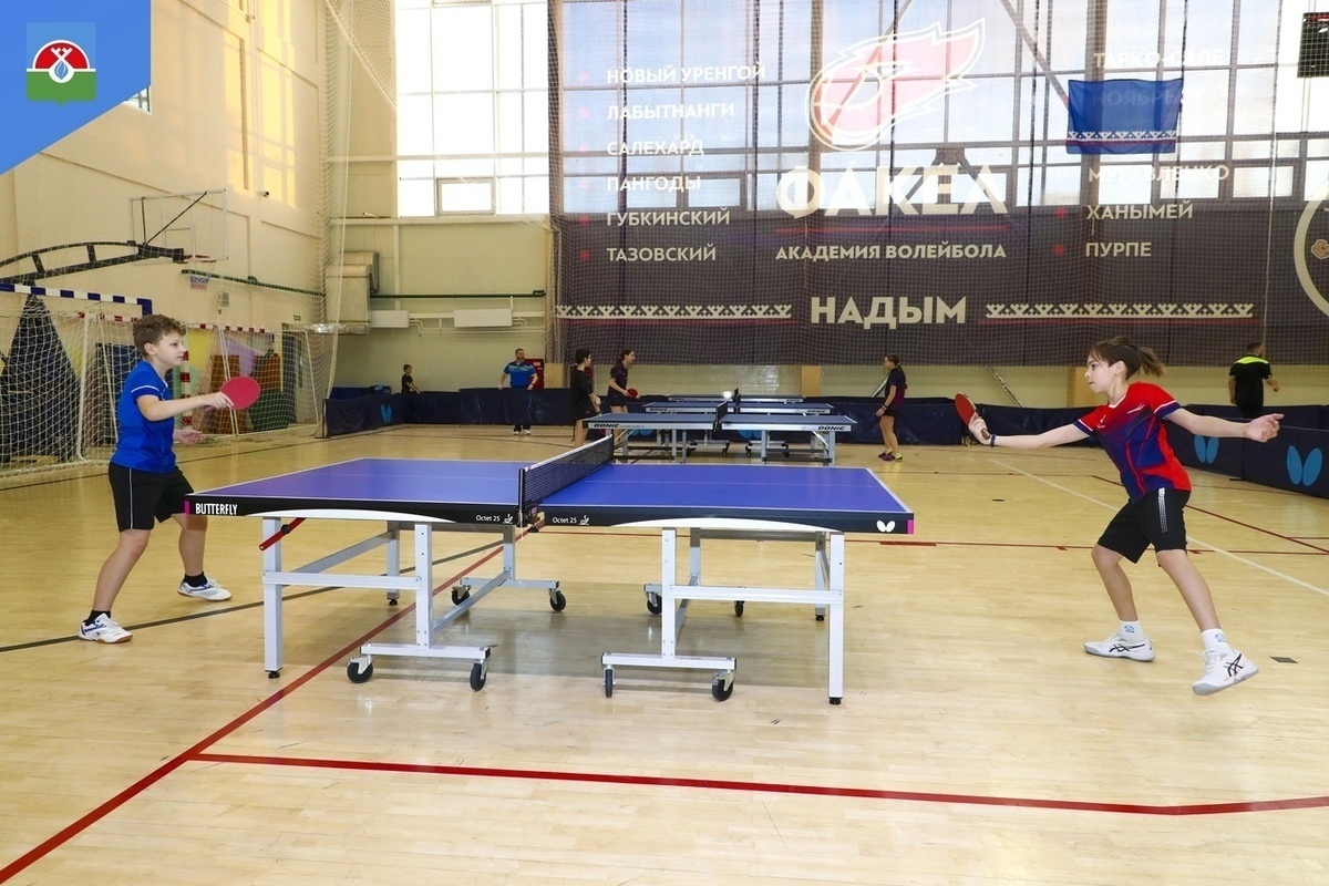 A table tennis festival with the Russian champion will be held in Nadym