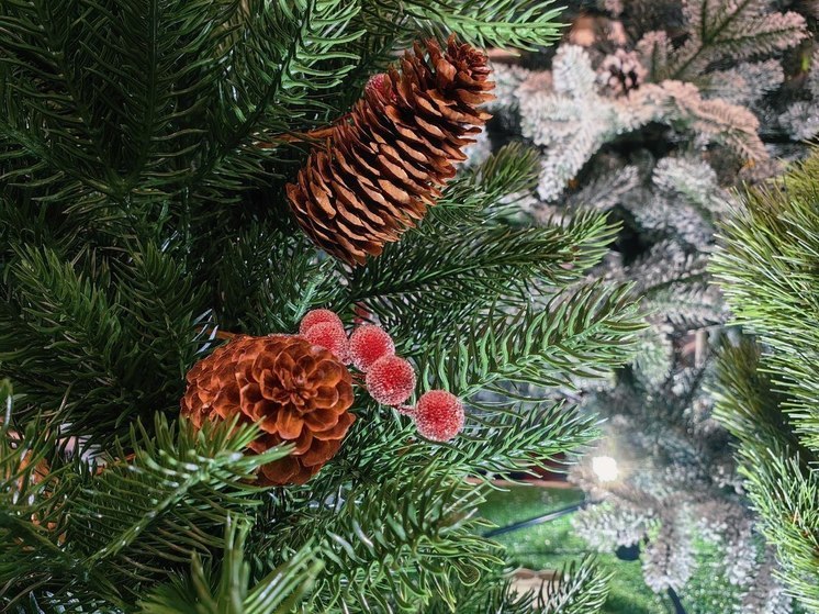 Рождественское богослужение увидят все жители Хабаровского края