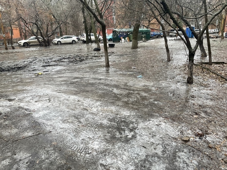 На Дону ожидается усиление ветра и гололед