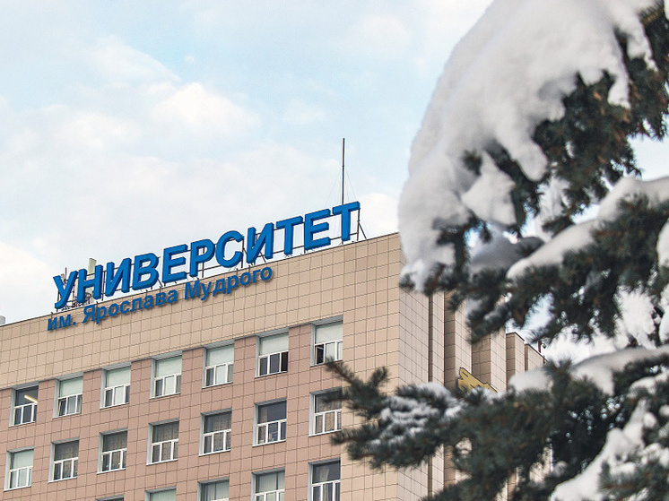 Новгородские студенты стали победителями грантового конкурса «УМНИК»