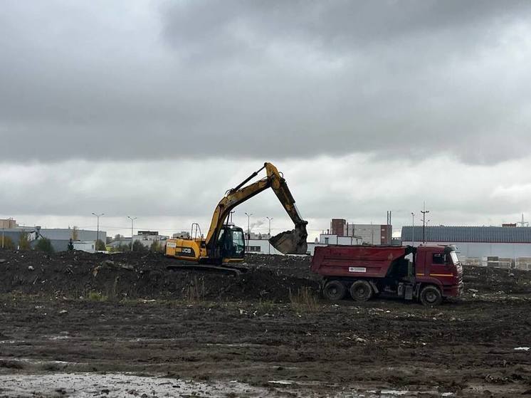 В Приморском районе началась установка опор нового моста через Черную речку