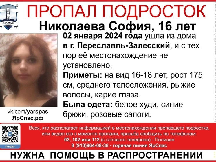 В Ярославской области в новогодние праздники пропала 16-летняя девушка