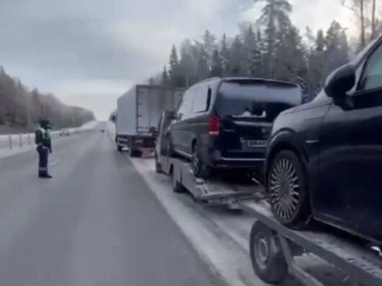 Инспекторы ДПС помогли замерзавшему на трассе водителю автовоза