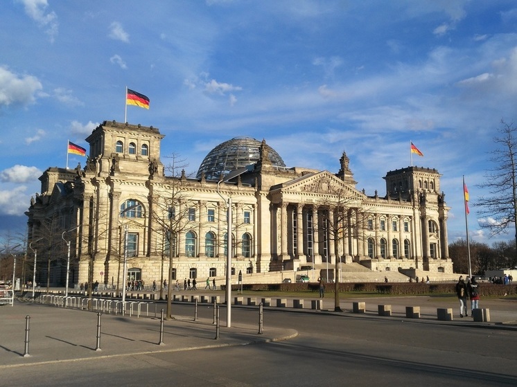 Экс-председатель бундестага Тирзе призвал Берлин проверить возможность запрета АдГ