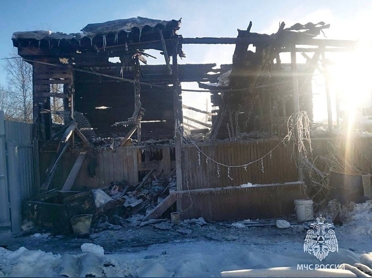 Появились подробности пожара с тремя погибшими детьми в Тверской области