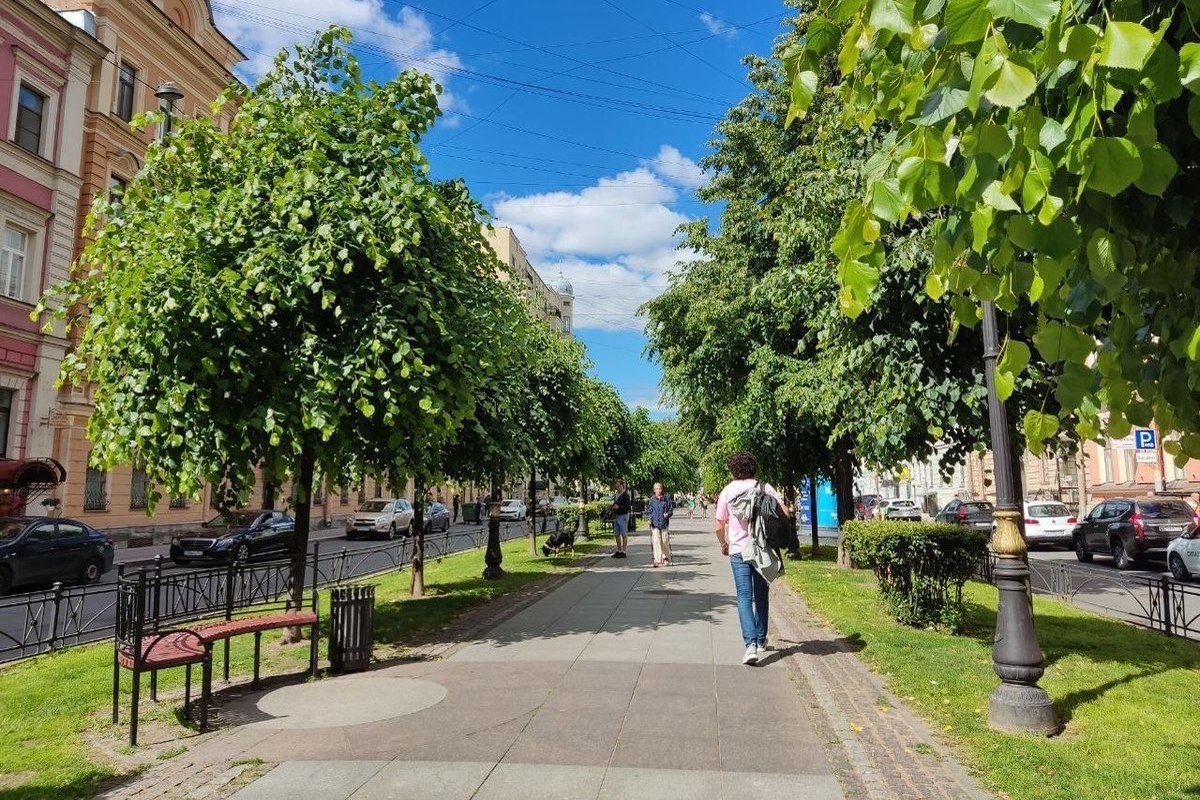 Фонари установили на центральной аллее Конногвардейского бульвара в Петербурге