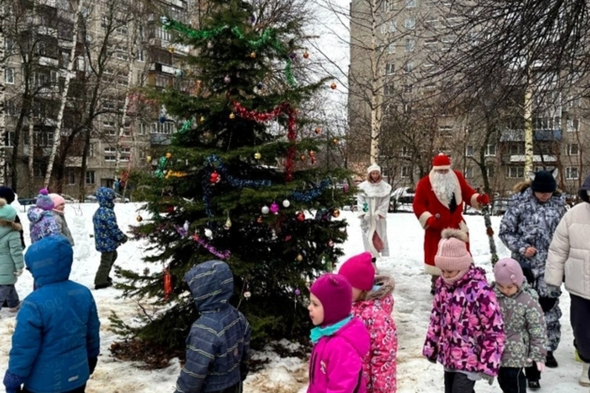 Проведение новогодних праздников