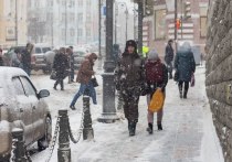 По прогнозам метеорологов снег сегодня во Владивостоке будет небольшим и закончится во второй половине дня