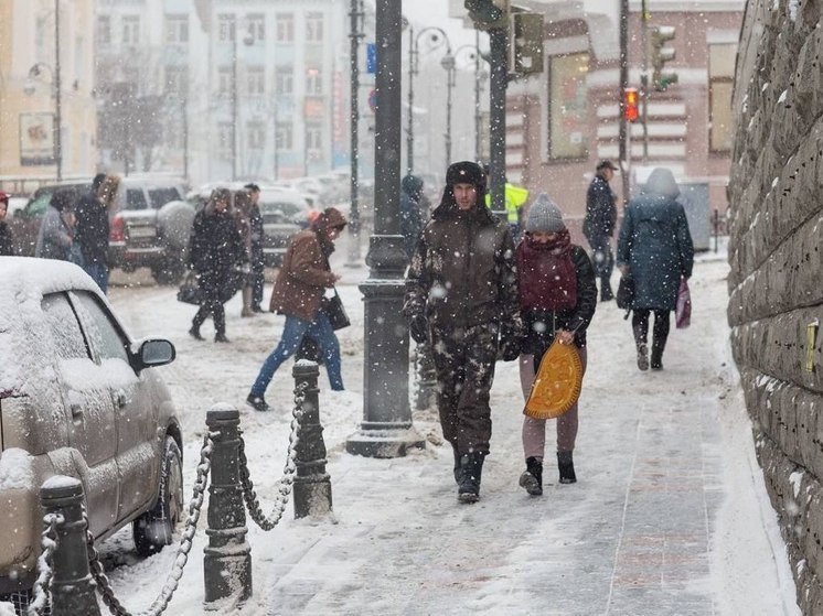 Дорожные службы во Владивостоке борются со снегом