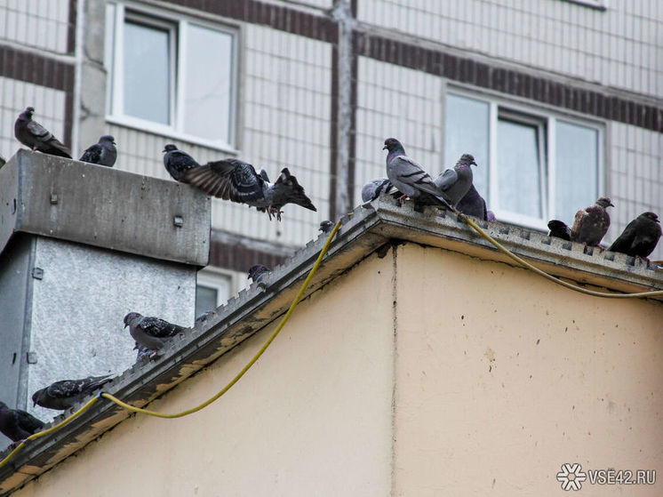 Жители кузбасского города пожаловались на испорченную кровлю многоэтажки