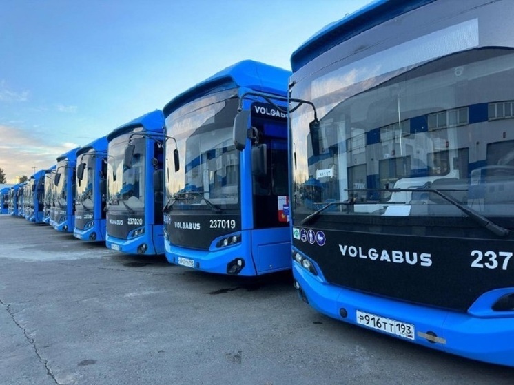 На дороги Сочи выйдут 25 экологичных автобусов с видеокамерами