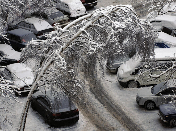 Москвичка пожаловалась на свой китайский автомобиль, не выдержавший новогоднего мороза