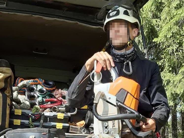 "Осторожно, новости": лесоруба из Подмосковья обвинили в госизмене после ареста за мелкое хулиганство