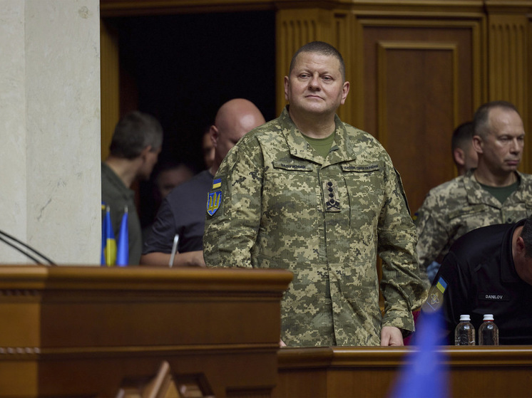 Депутат Швыткин: призыв Залужного вызван демотивированной украинской армией