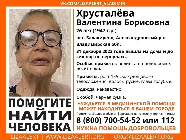 В 33 регионе идут поиски 76-летней пенсионерки, пропавшей в новогоднюю ночь
