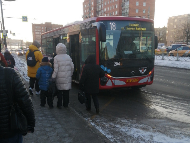 На улицы Тулы после жалоб вышло больше общественного транспорта