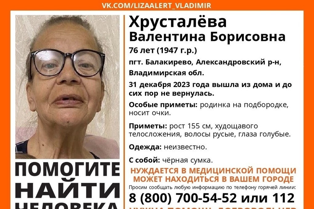 В 33 регионе идут поиски 76-летней пенсионерки, пропавшей в новогоднюю ночь