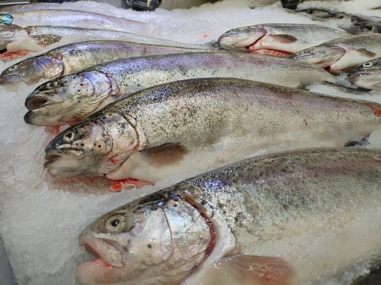 Из Ленобласти и Петербурга за год экспортировали почти 500 тонн рыбы
