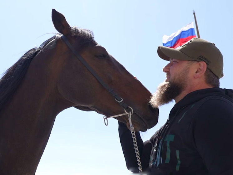 Гоните лошадей: Кадыров предложил обменять украинских пленных на своих скакунов
