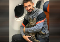 Уроженец Владивостока Михаил сообщил о смерти своего любимого кота, который стал известен всей стране несколько лет назад из-за скандала в аэропорту. 
