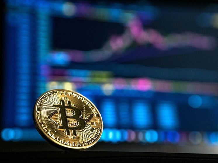 Воронежцам рассказали о четырех схемах мошенничества с криптовалютой