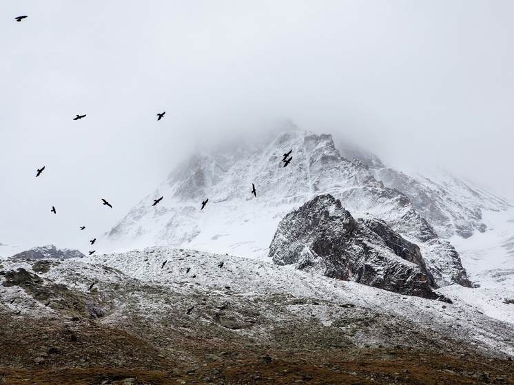 В НАО вспомнили о десятидневной экспедиции МЧС