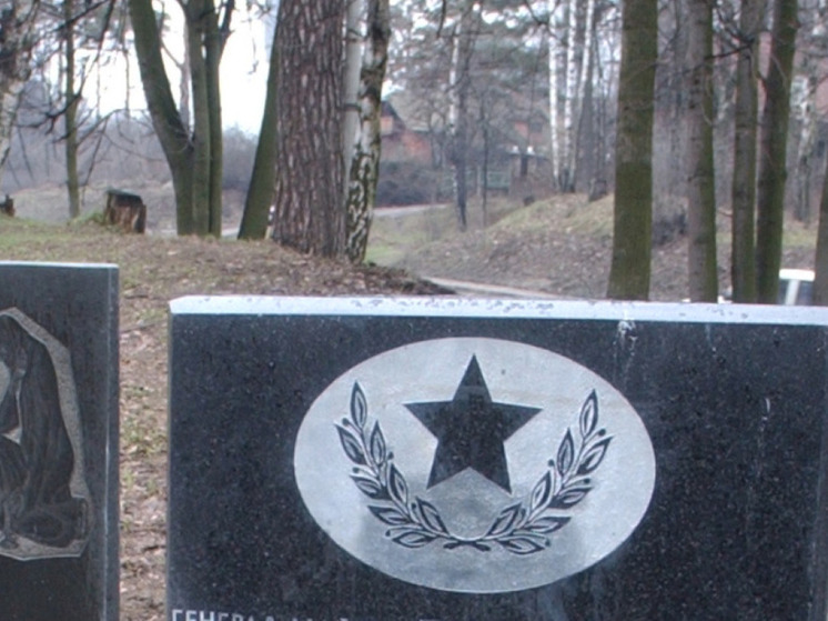 Все жители села на западе Украины проголосовали за отказ сносить памятник советским воинам.