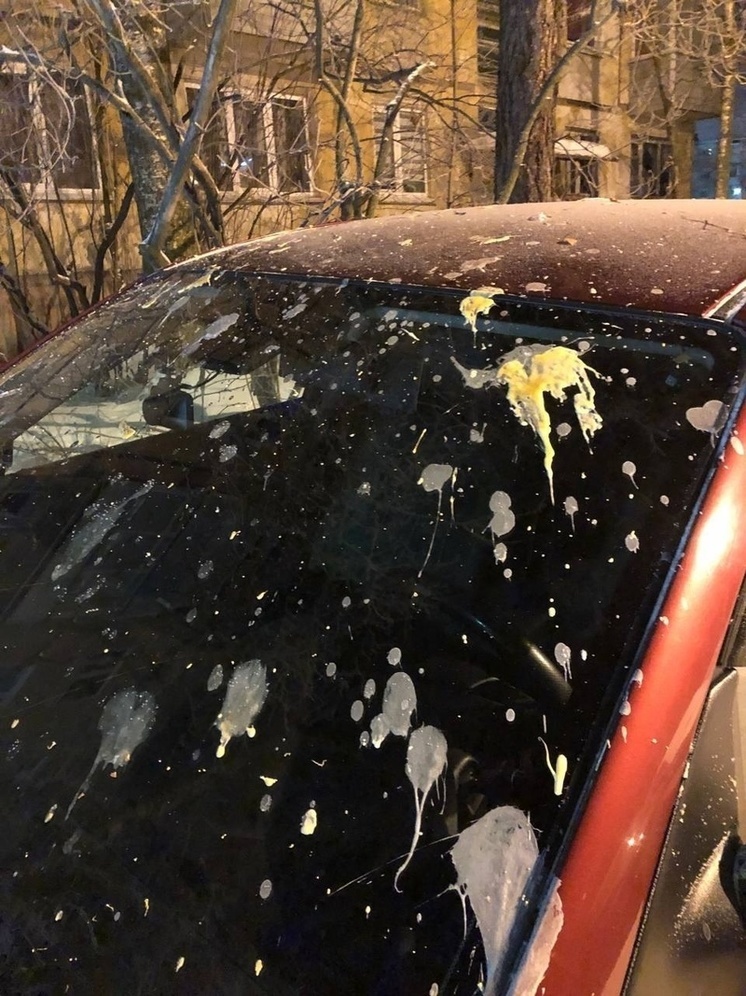 Неизвестные закидали яйцами долго гревшуюся машину в Петрозаводске