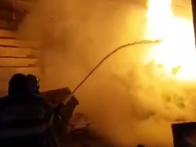 Крупный пожар на складе с картоном в Щелково ликвидировали огнеборцы