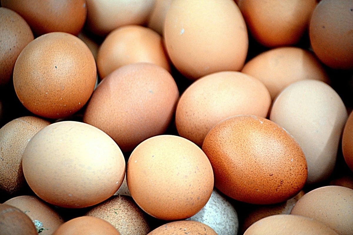 Аферисты в Медвежьегорске выставили на продажу яйца по рекордно низкой цене