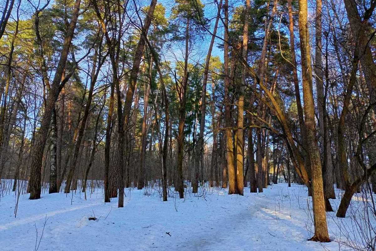 Какие первые признаки обморожения