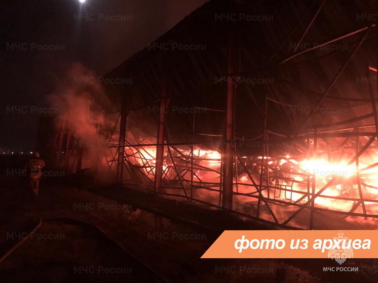 Дом сгорел в поселке Пчевша в Киришском районе