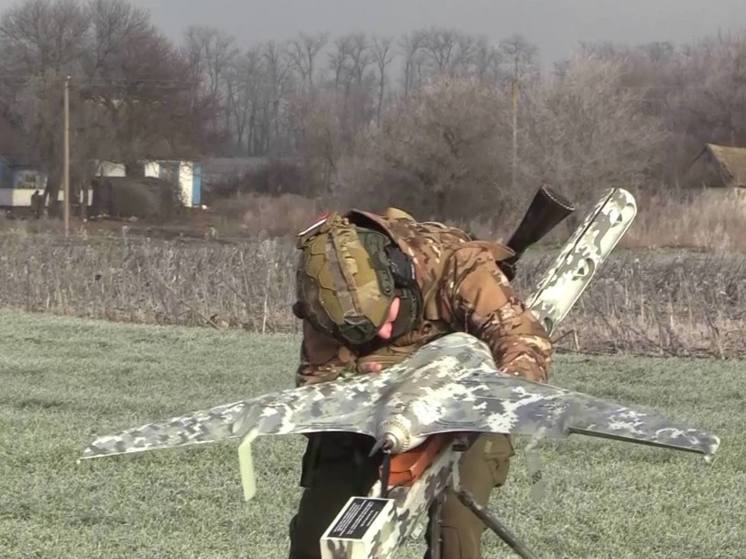 "СЭ": к лету на Украине может быть применена атака роем дронов