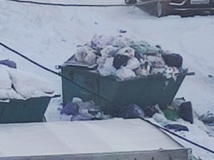 Власти Лахденпохьи признались в беспомощности в вывозе мусора
