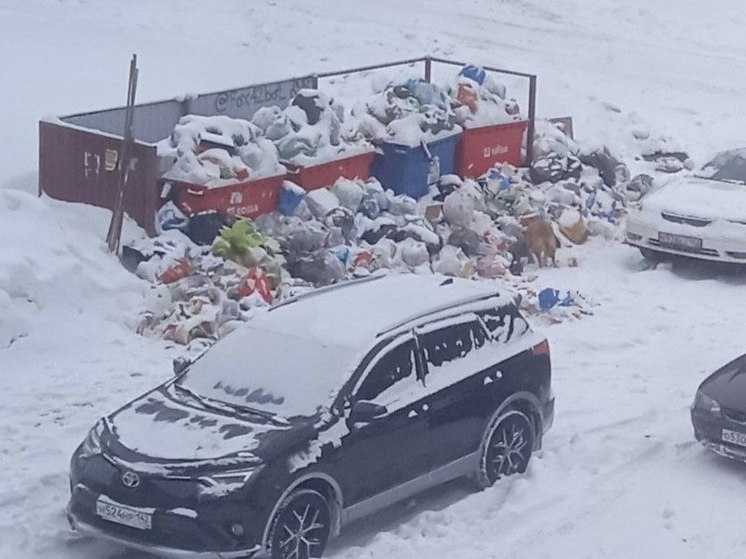 Жители кузбасского города пожаловались на утопающие в мусоре дворы