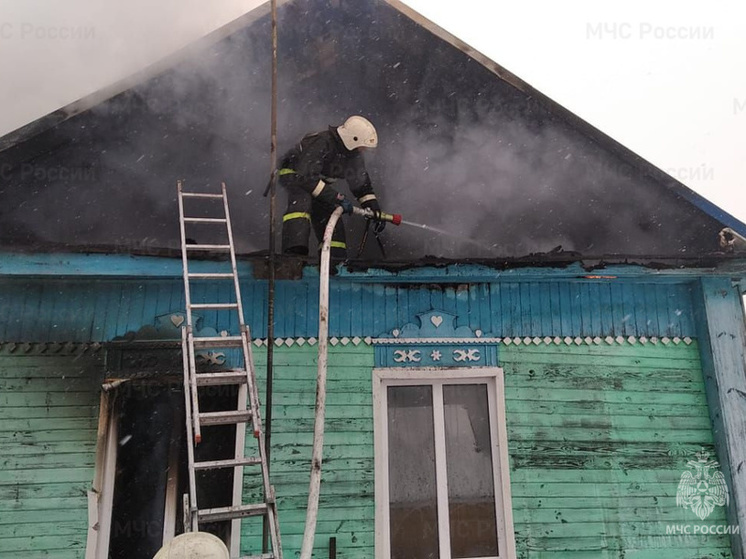 При пожаре в брянском селе Подывотье погибла женщина