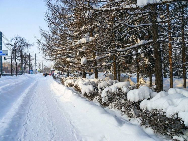 Сильный снег ожидает челябинцев на Рождество
