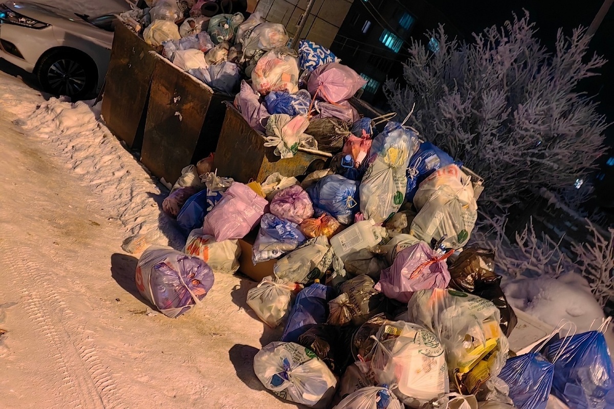 Отходов вблизи детского сада в Сегеже в два раза больше, чем контейнеров