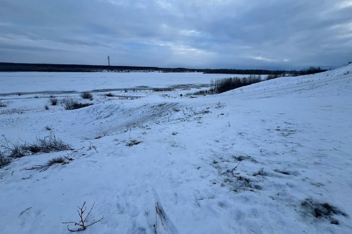 На неделю в алтайском районе